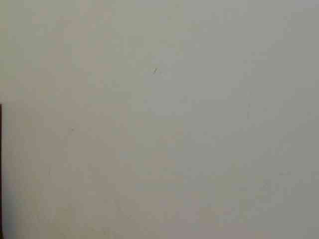 sunny_page webcam