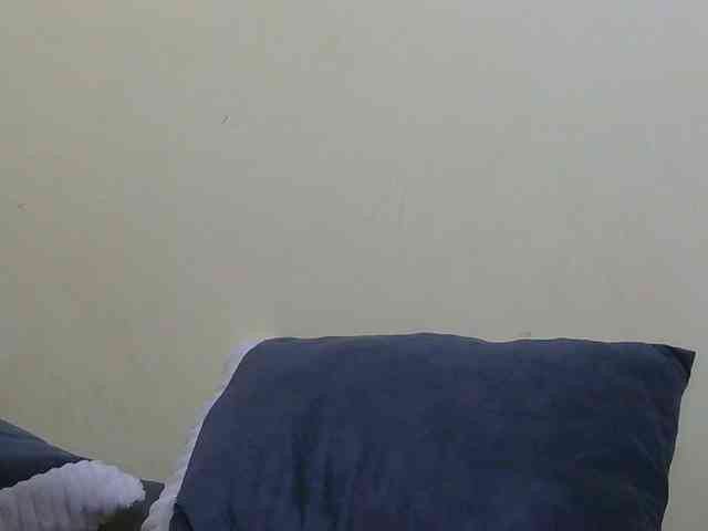 sunny_page webcam