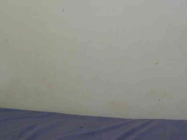 sunny_page webcam