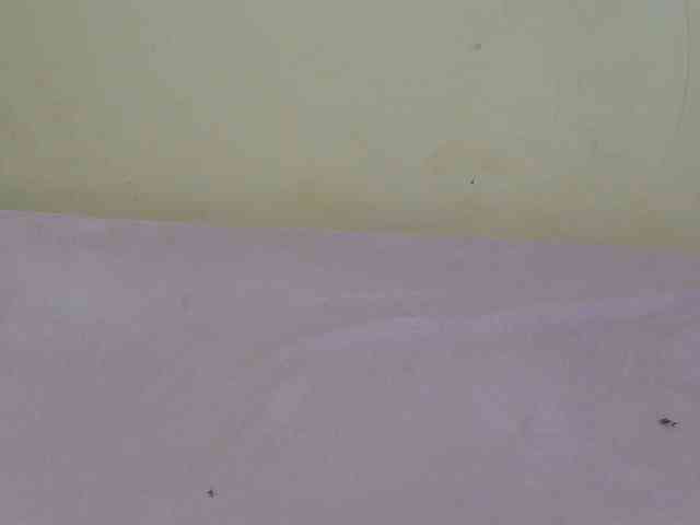 sunny_page webcam