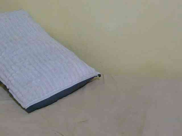 sunny_page webcam