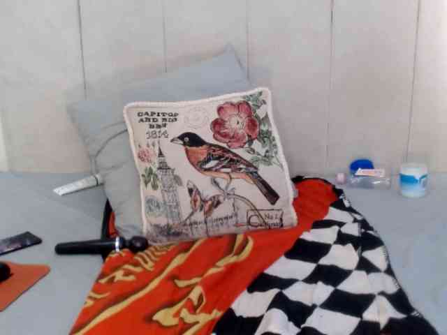 Splendidtalitha