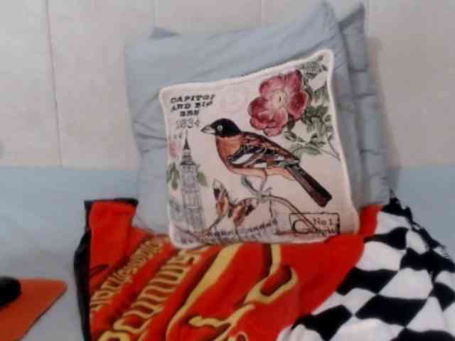 Splendidtalitha