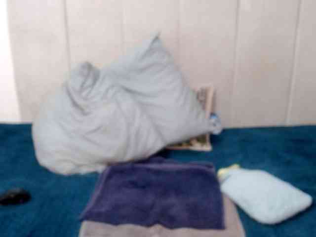 Splendidtalitha webcam