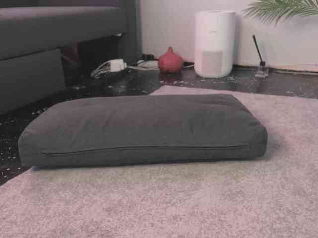 BlackValeri webcam