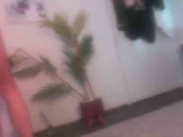 BlackValeri webcam