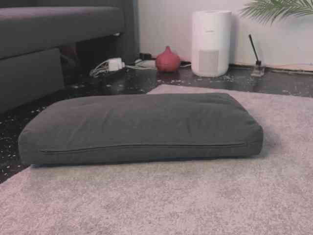 BlackValeri webcam
