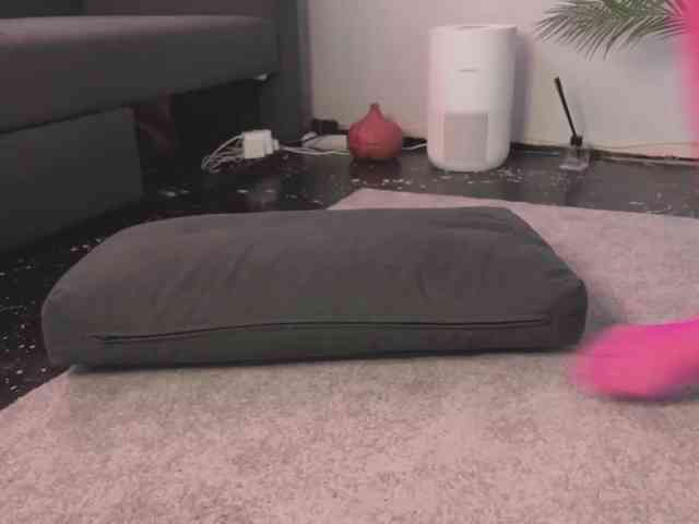 BlackValeri webcam
