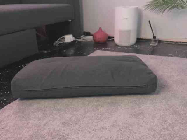 BlackValeri webcam