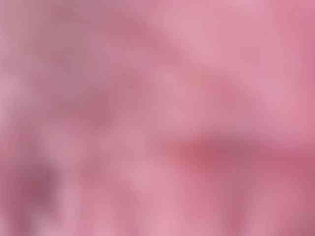 BlackValeri webcam