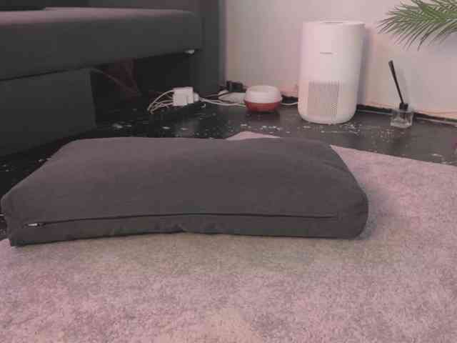 BlackValeri webcam