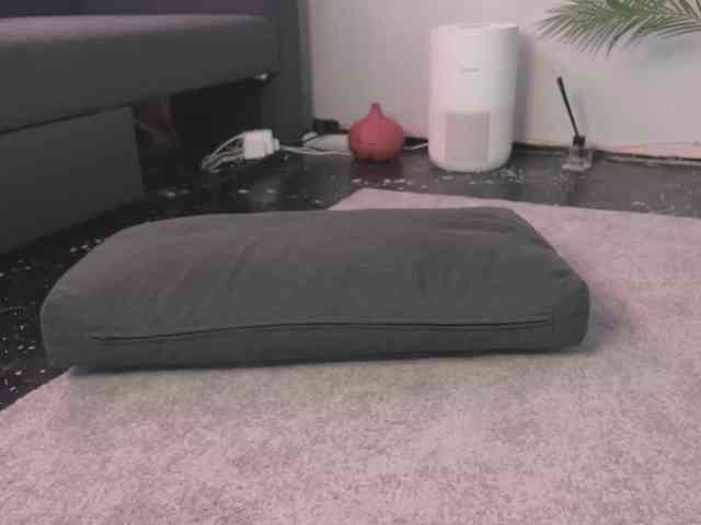 BlackValeri webcam