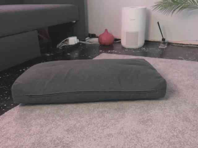 BlackValeri webcam