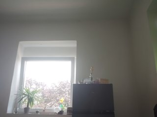 evittaellite1- Porn Show