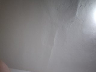evittaellite1-