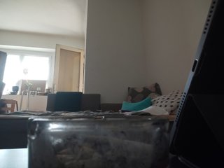 evittaellite1- Porn Show