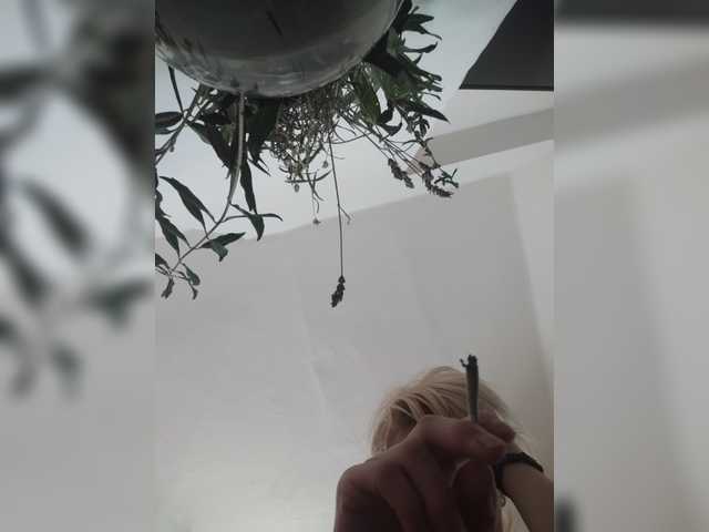 evittaellite1- live webcam show