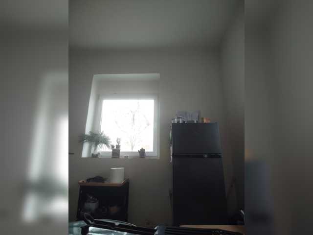 Webcam-Model evittaellite1-
