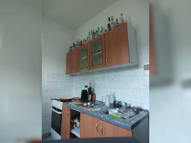 evittaellite1-