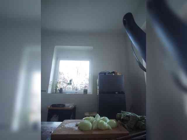 evittaellite1- webcam