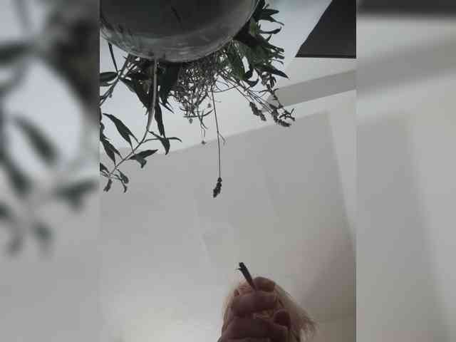 evittaellite1- webcam