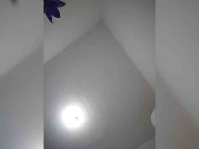 evittaellite1- webcam