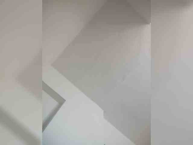 evittaellite1-