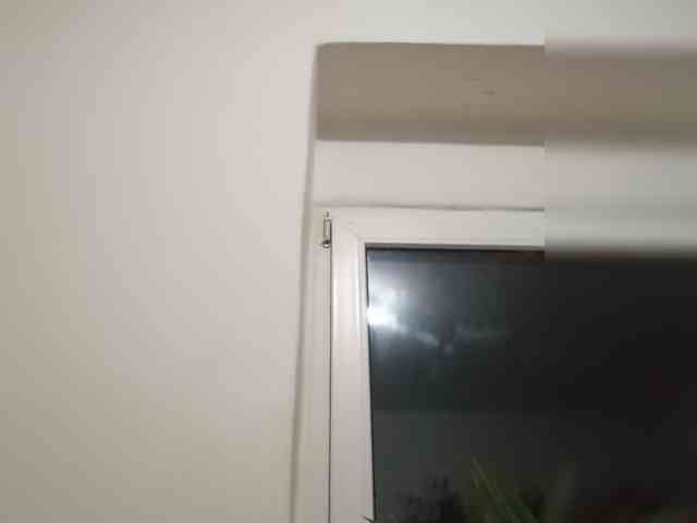 evittaellite1- webcam