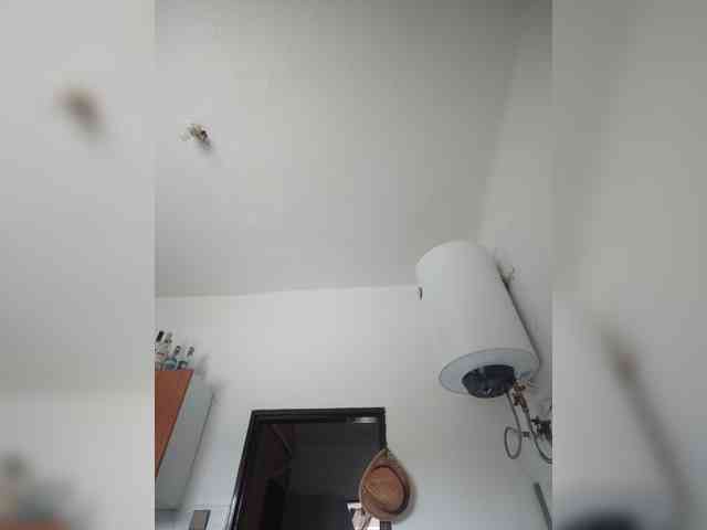 evittaellite1- webcam