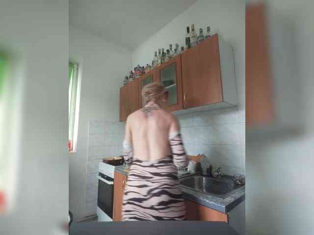 evittaellite1- webcam