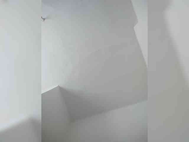 evittaellite1- webcam