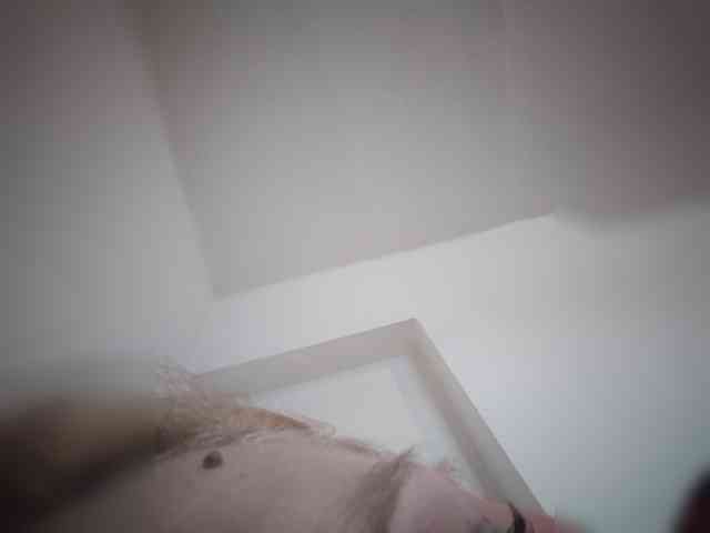 evittaellite1- webcam