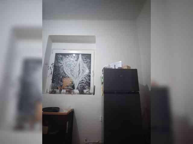 evittaellite1- webcam