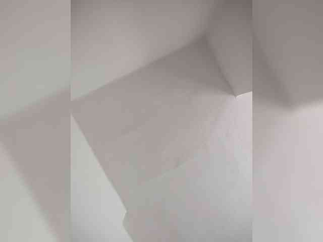 evittaellite1- webcam