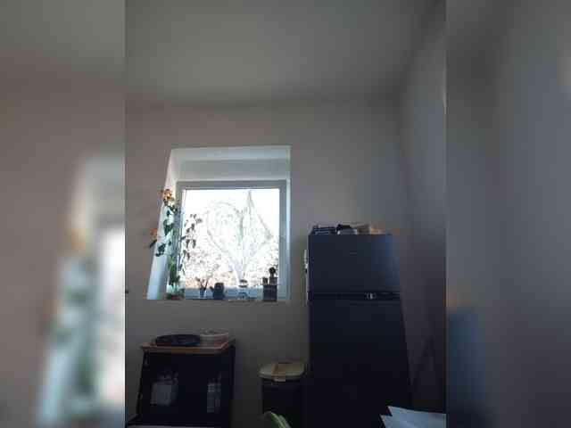 evittaellite1- webcam