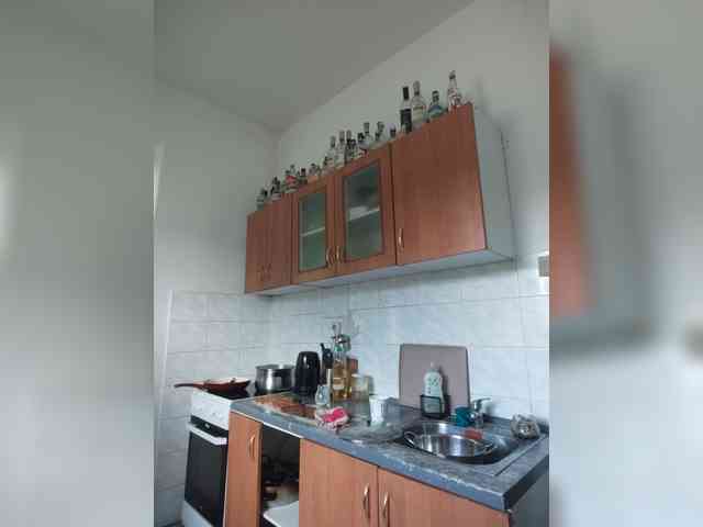 evittaellite1-