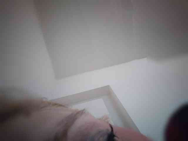 evittaellite1- webcam