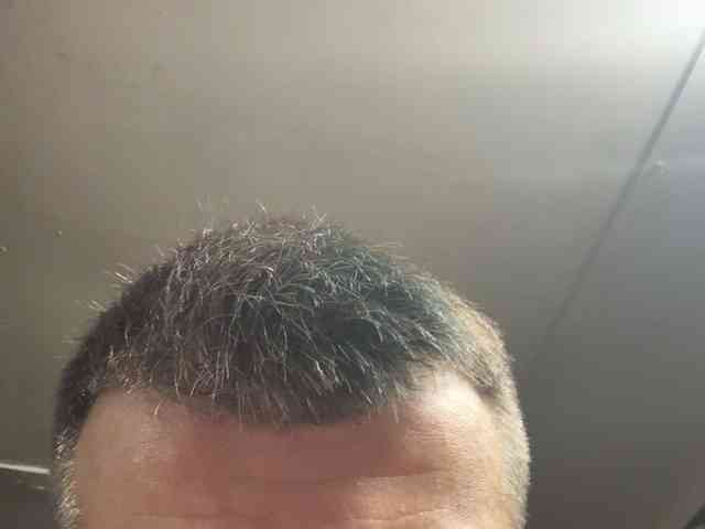 Sexystud12 Sexystud12