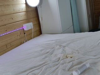 wild41 Porn Show