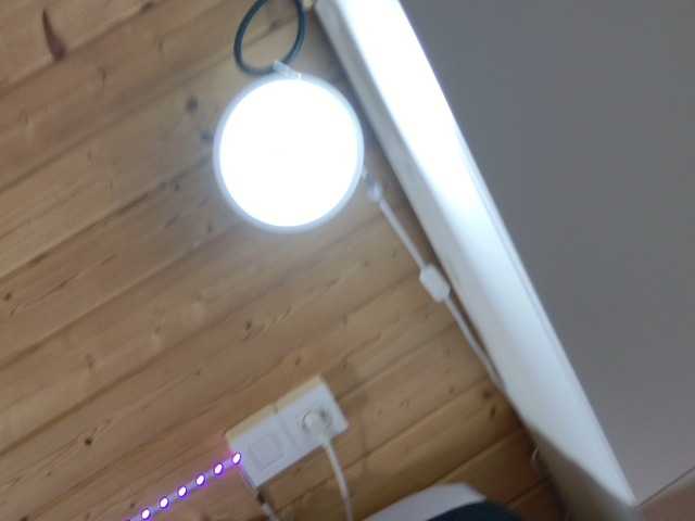 wild41 live cam on BongaCams