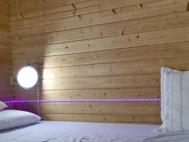 wild41 live cam on BongaCams