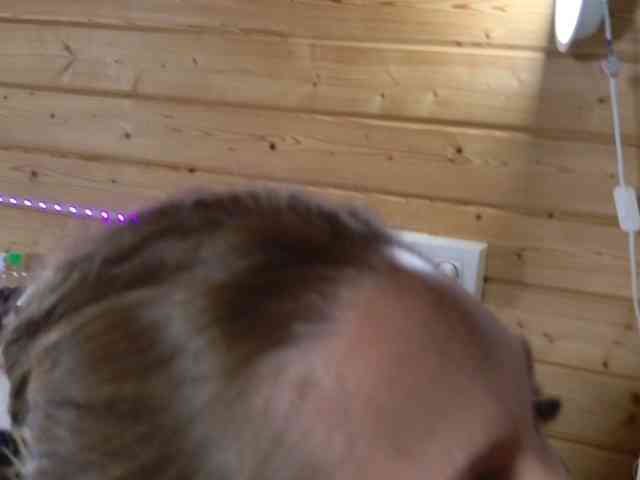 wild41 Live Webcam on BongaCams