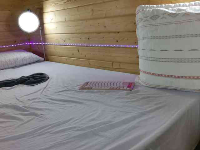 wild41 Live Webcam on BongaCams