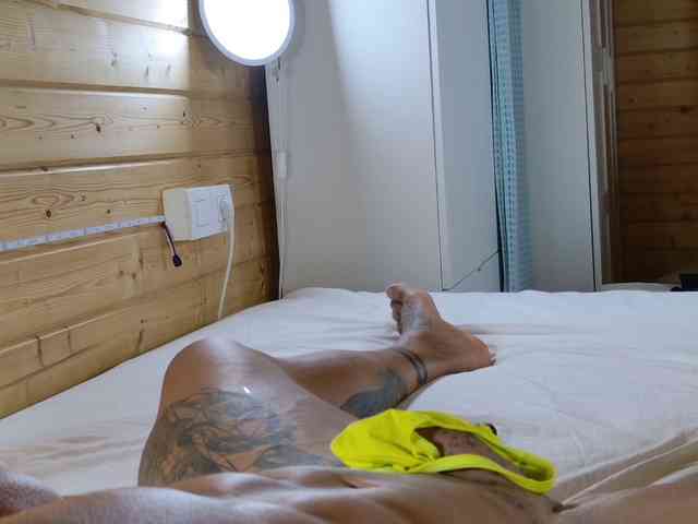 wild41 webcam