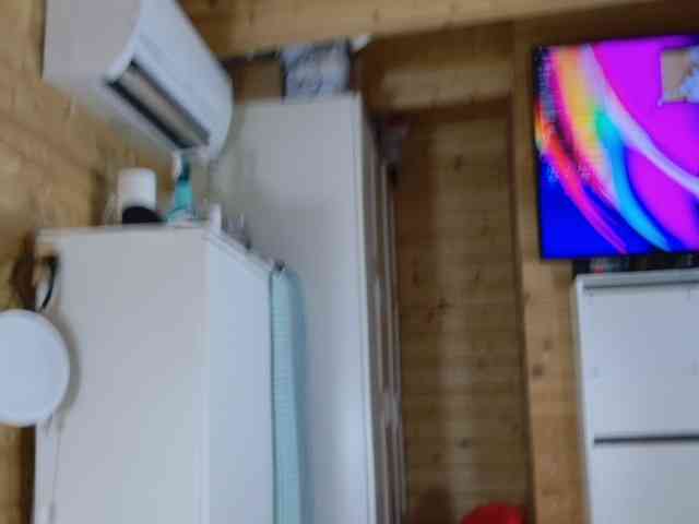 wild41 webcam
