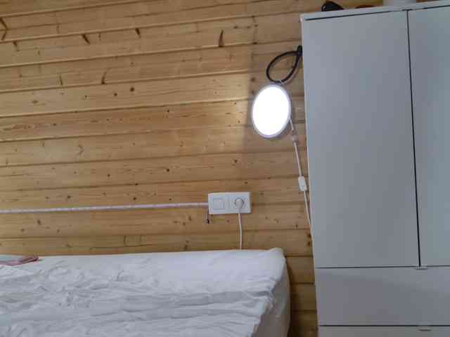 wild41 webcam