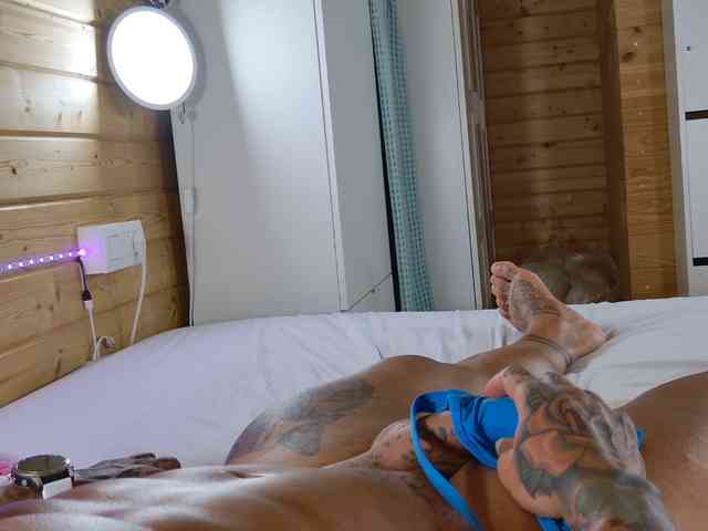 wild41 webcam