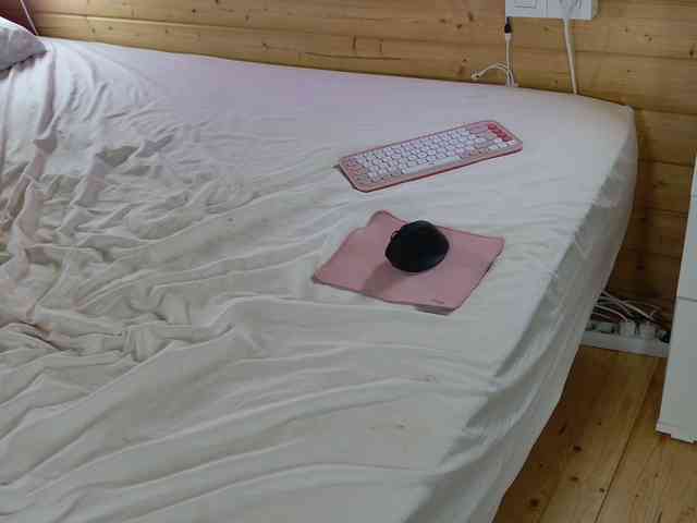 wild41 Live Webcam on BongaCams