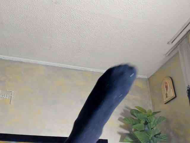 rileylanna webcam