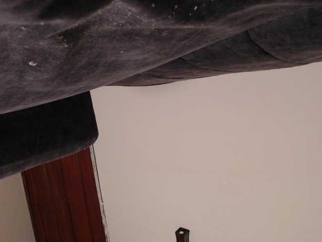 LannyShell live cam on BongaCams